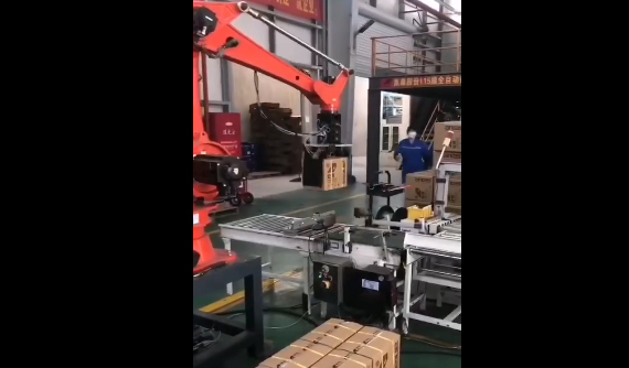 爾必地碼垛機器人紙箱碼垛搬運應(yīng)用案例視頻